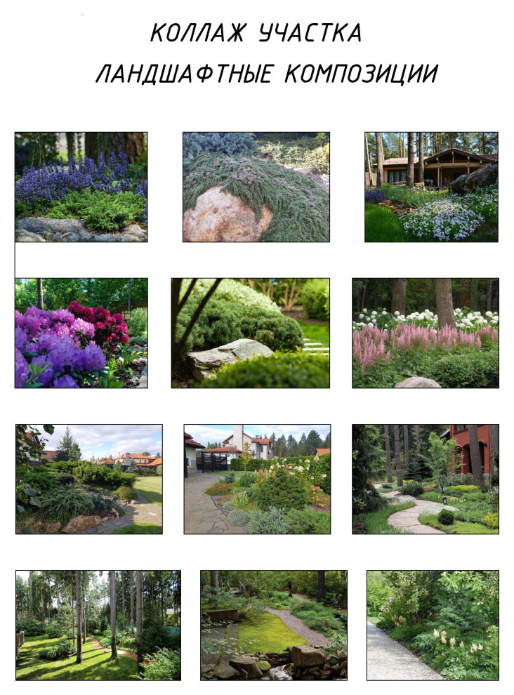 Проект участка  на крутом лесном склоне