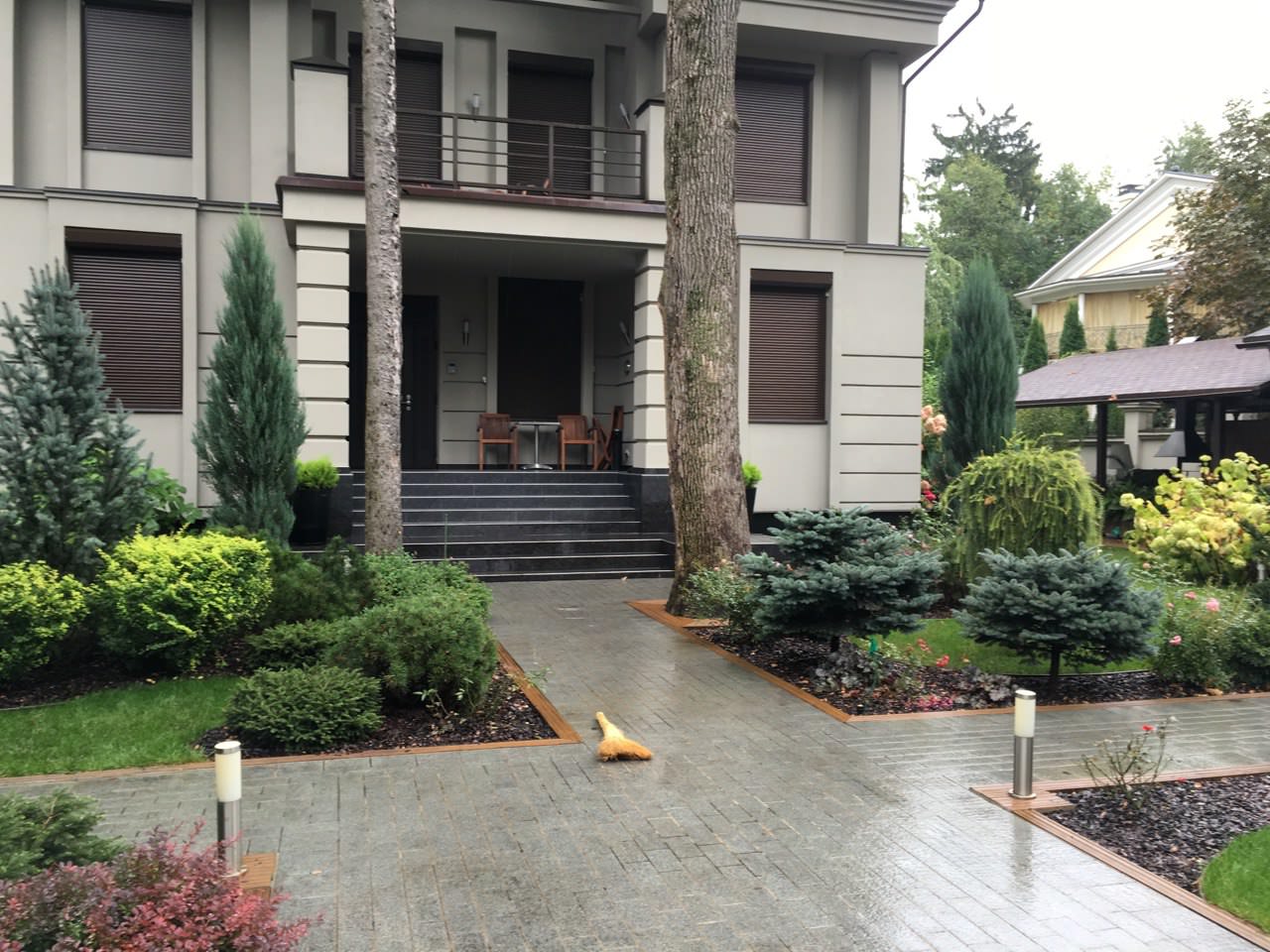 Обложка проекта: Полесье