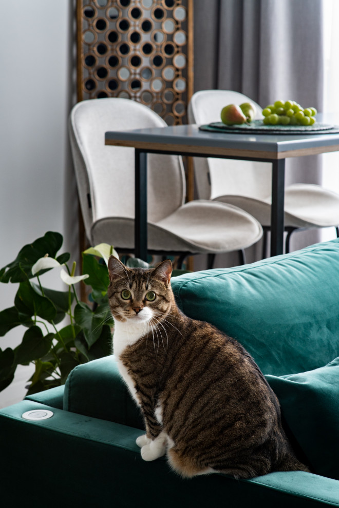 Обложка альбома: Мои идеи пользователя Elena