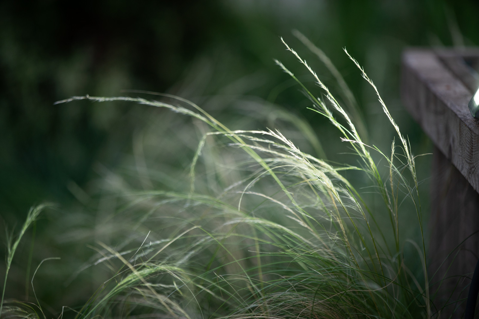 Архитектура природы