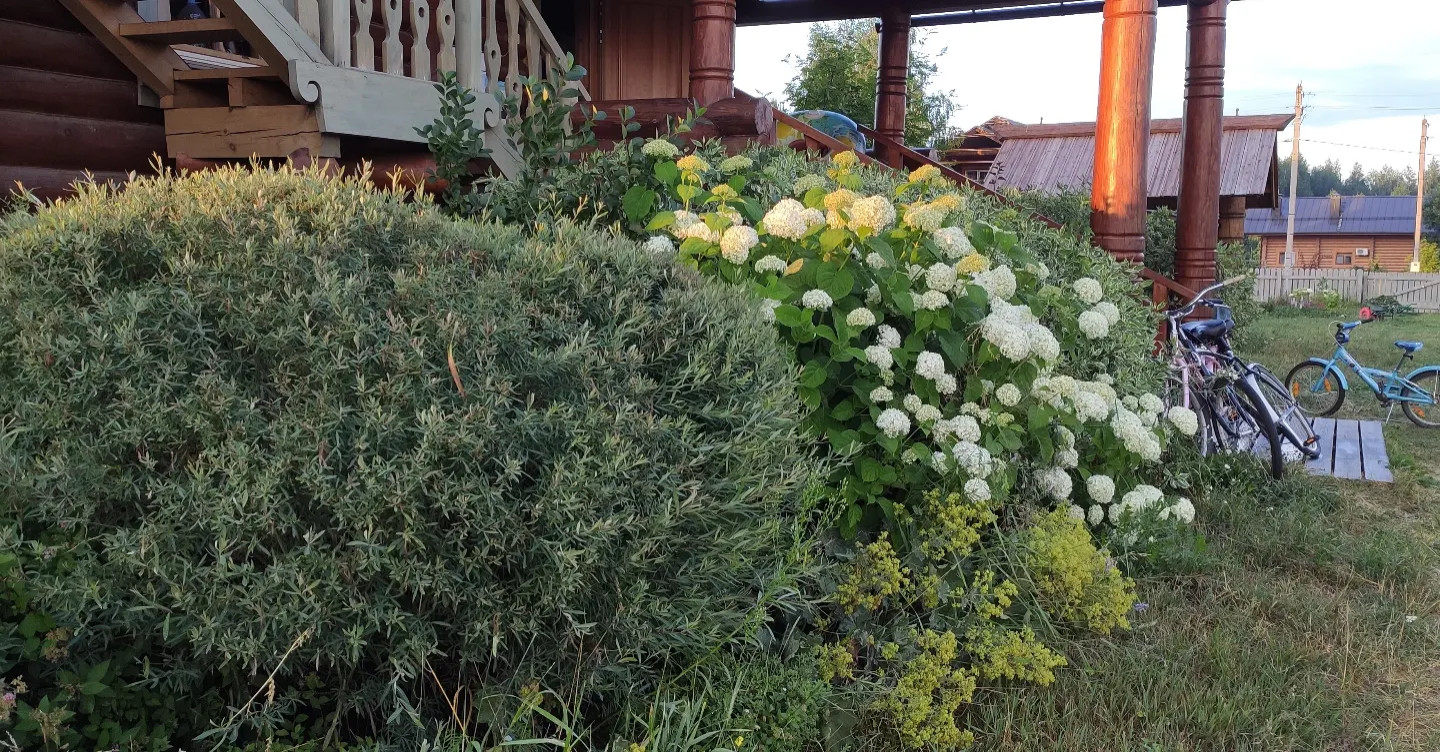 Проект "Волга"