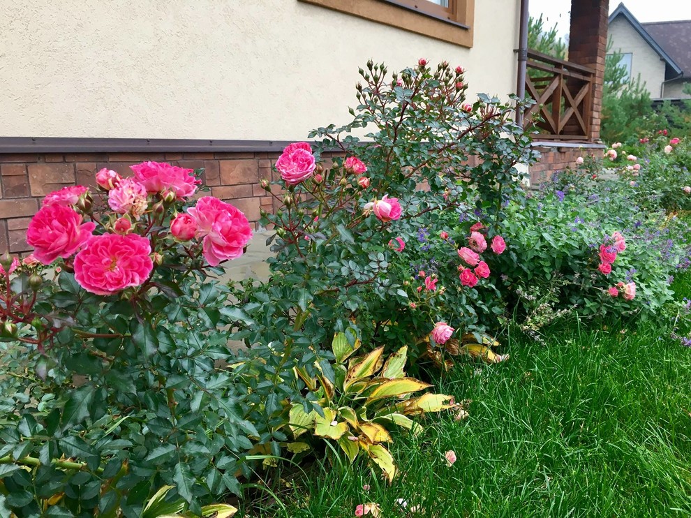 капитан Ленд