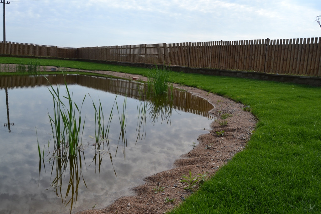 Обложка проекта: Вода 1/14