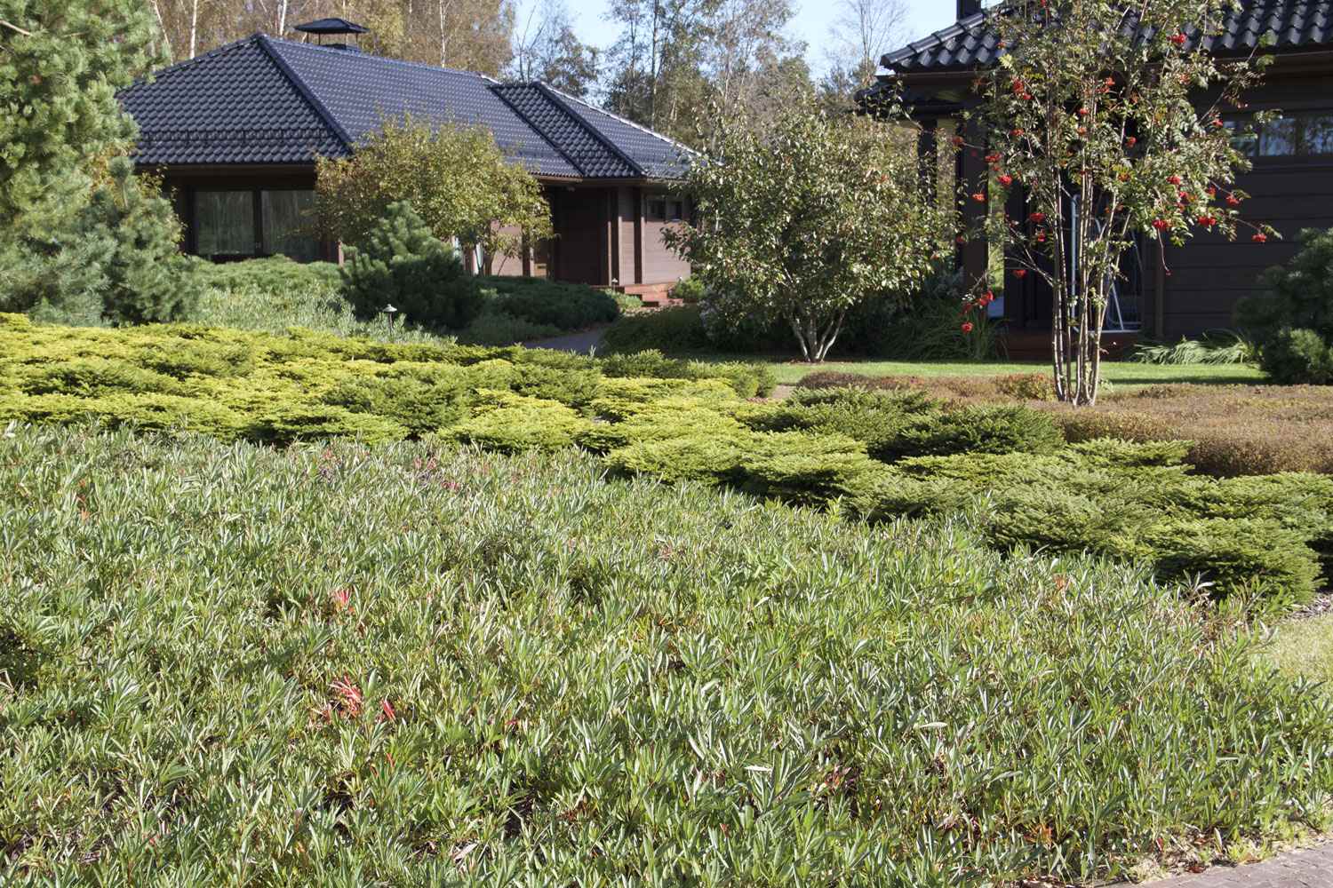 Большой дом на высоком берегу реки