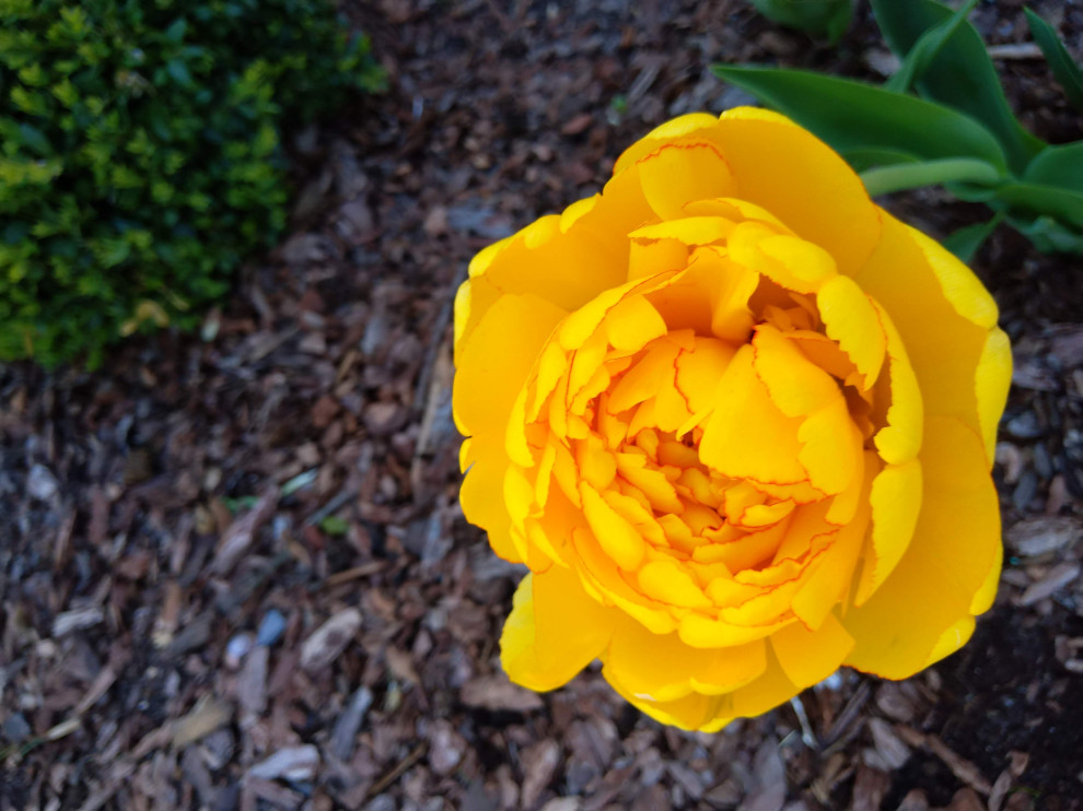 г. Пионерский, Калининградская область