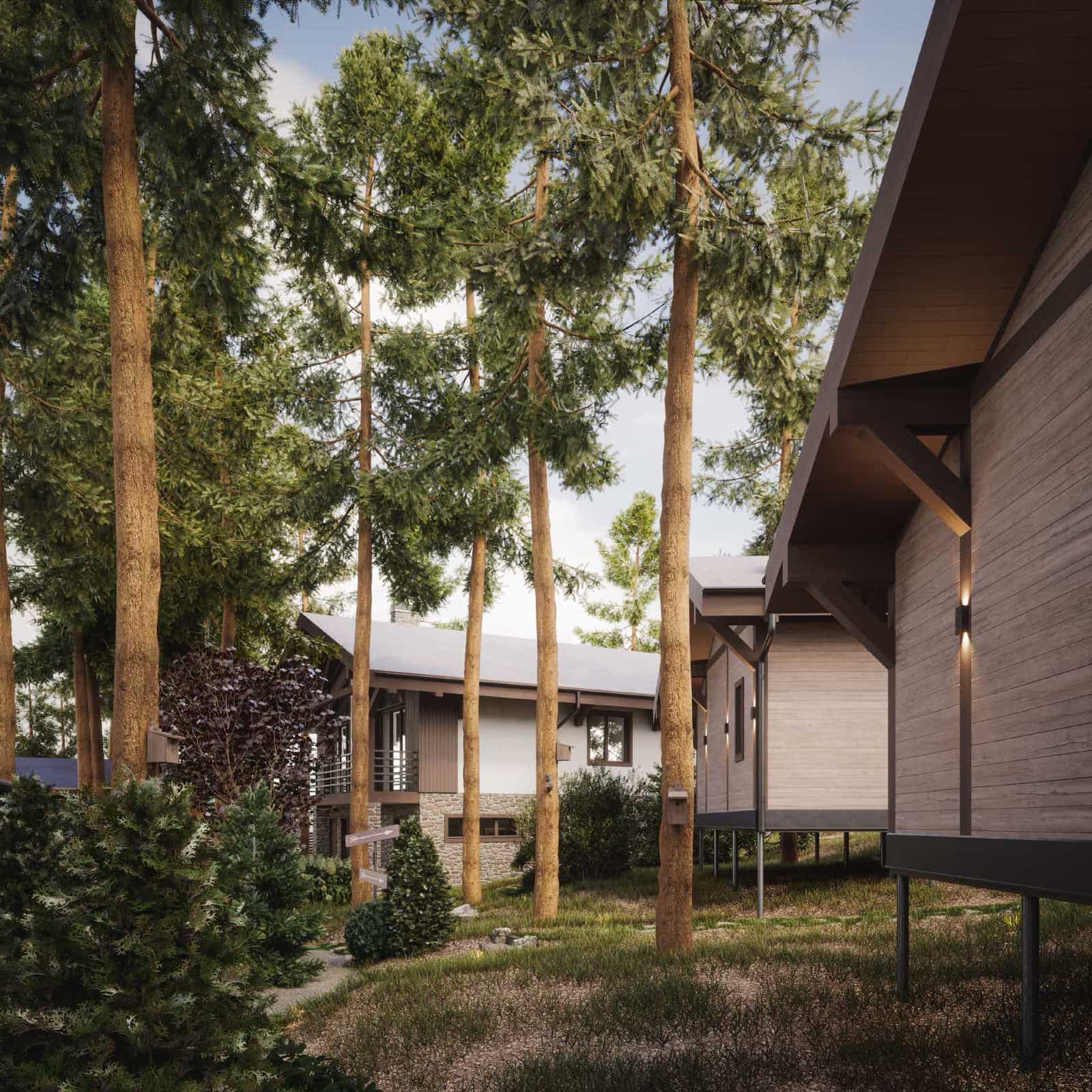 Лесные просторы