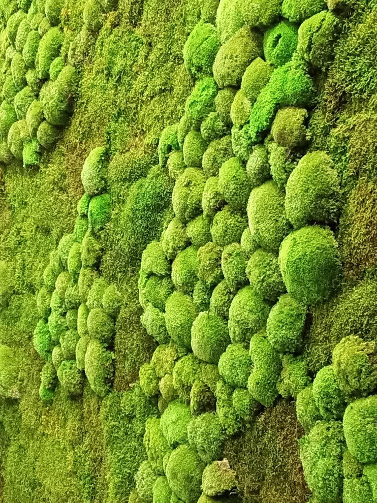 Тюмень. Комарово