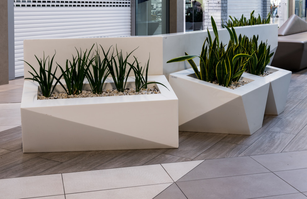 Мега Казань