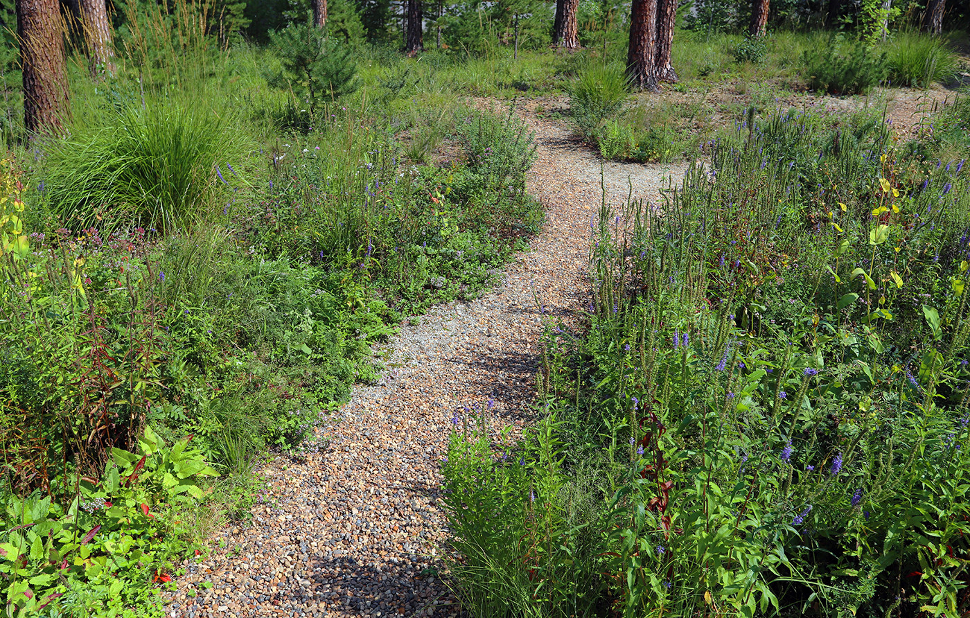 Лес и огород