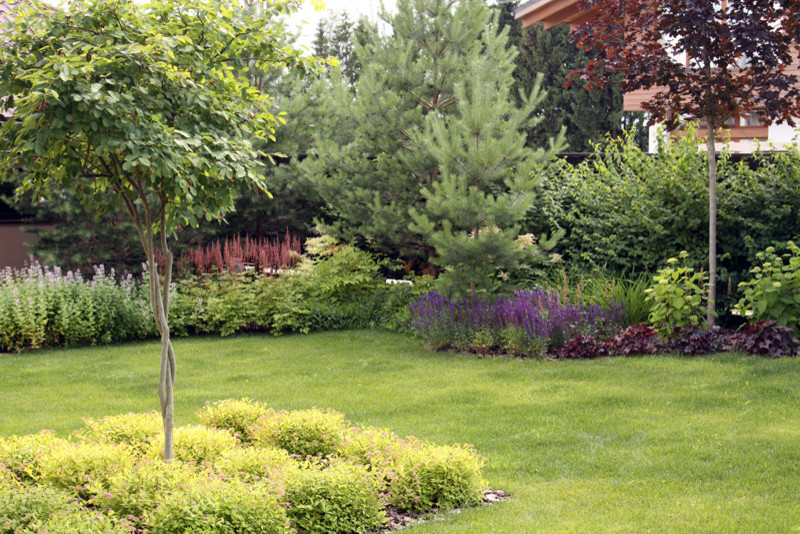 Современный сад