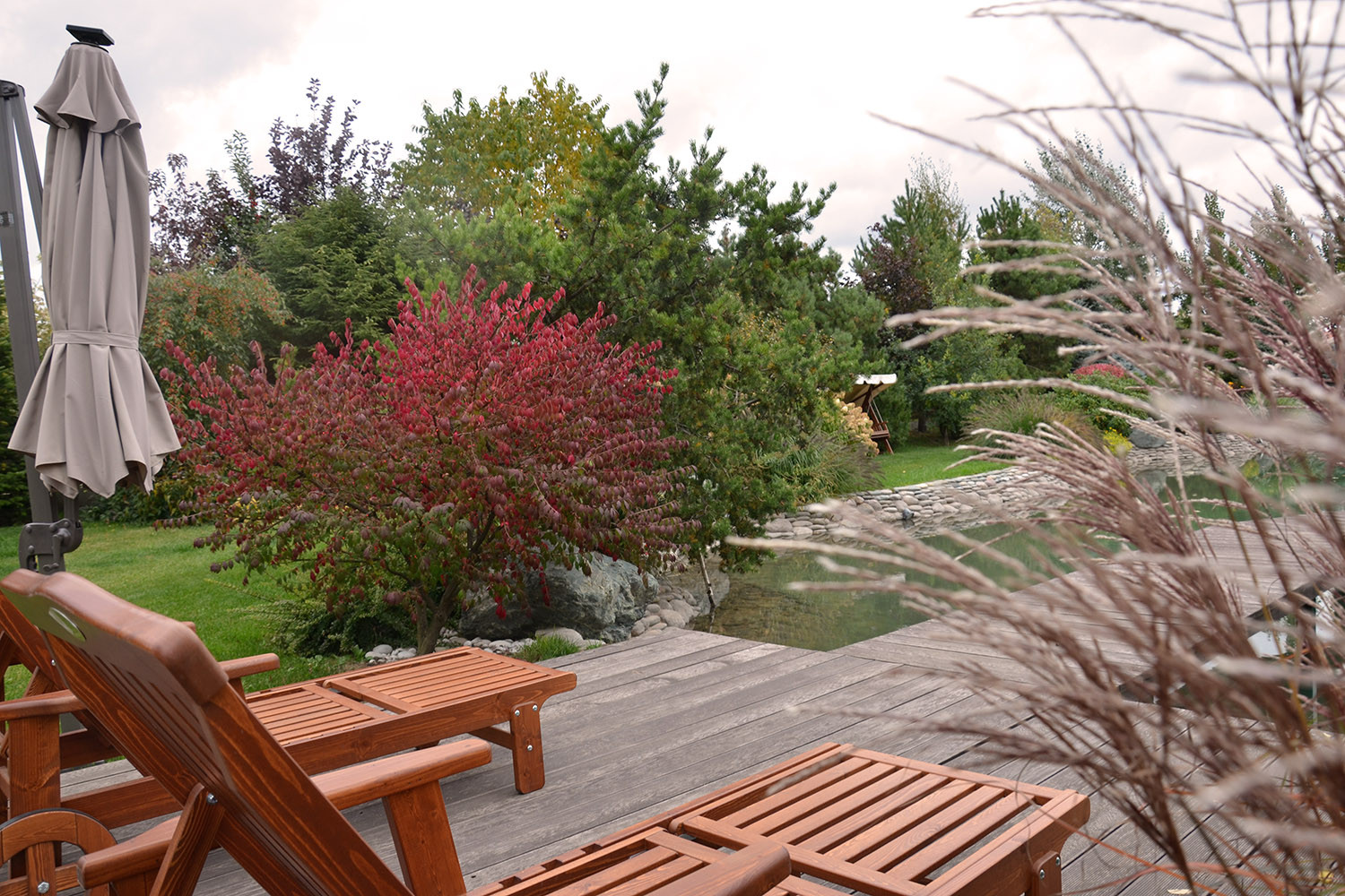 Ландшафтный сад с прудом в КП "Европа"