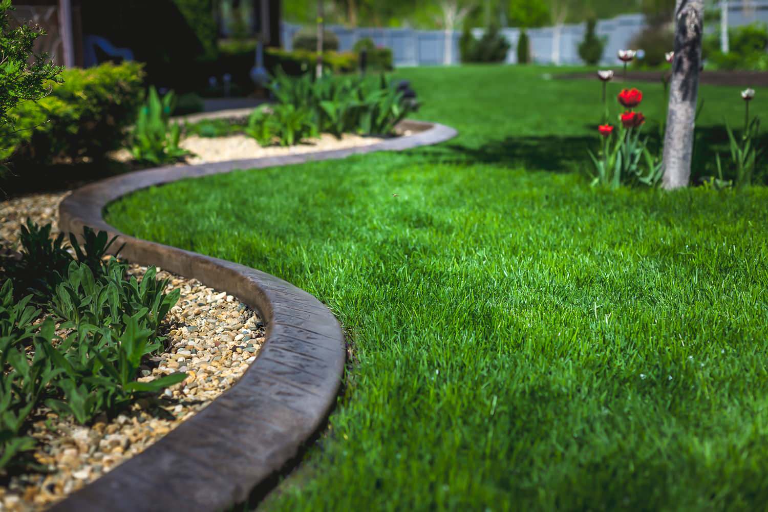 Как правильно: Устроить цветник… на картоне