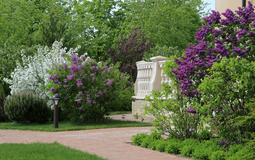 В центре круга