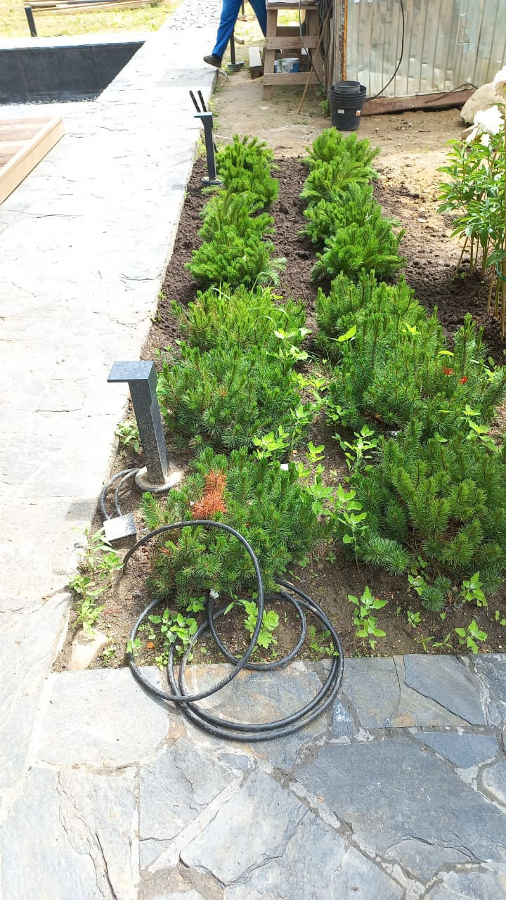 Landscape design of the territory (Moscow region)