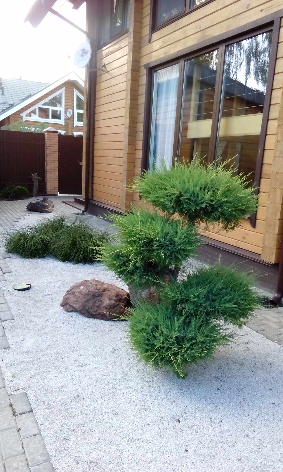 Заокские питомники