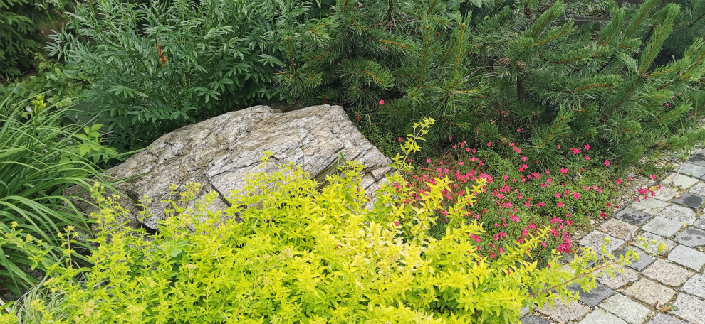 Лесное озеро