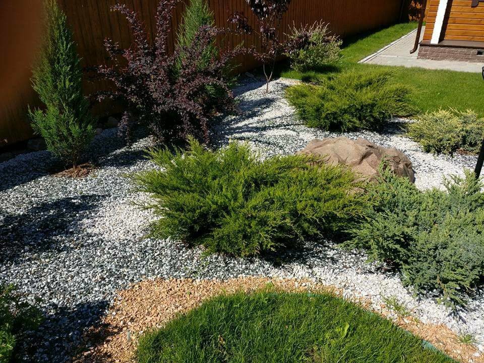 сад, который рисовая я