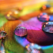 Татьяна Минина