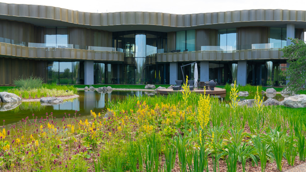 Природный сад. Жуковка XXI век. 2017-2018 гг.