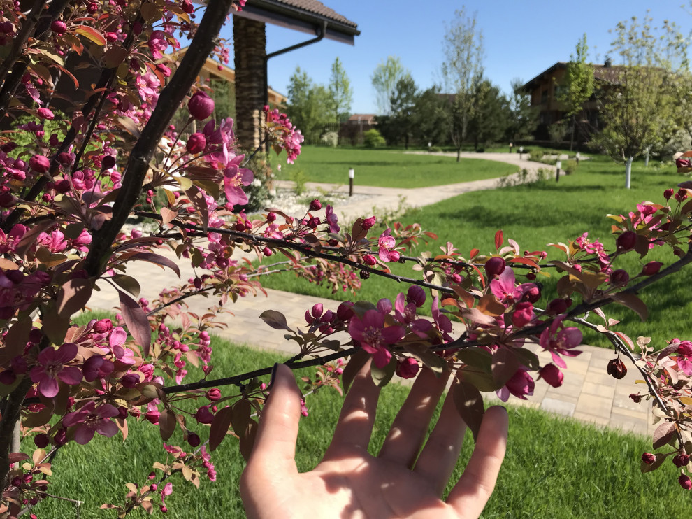 Участок для Максима и Натальи