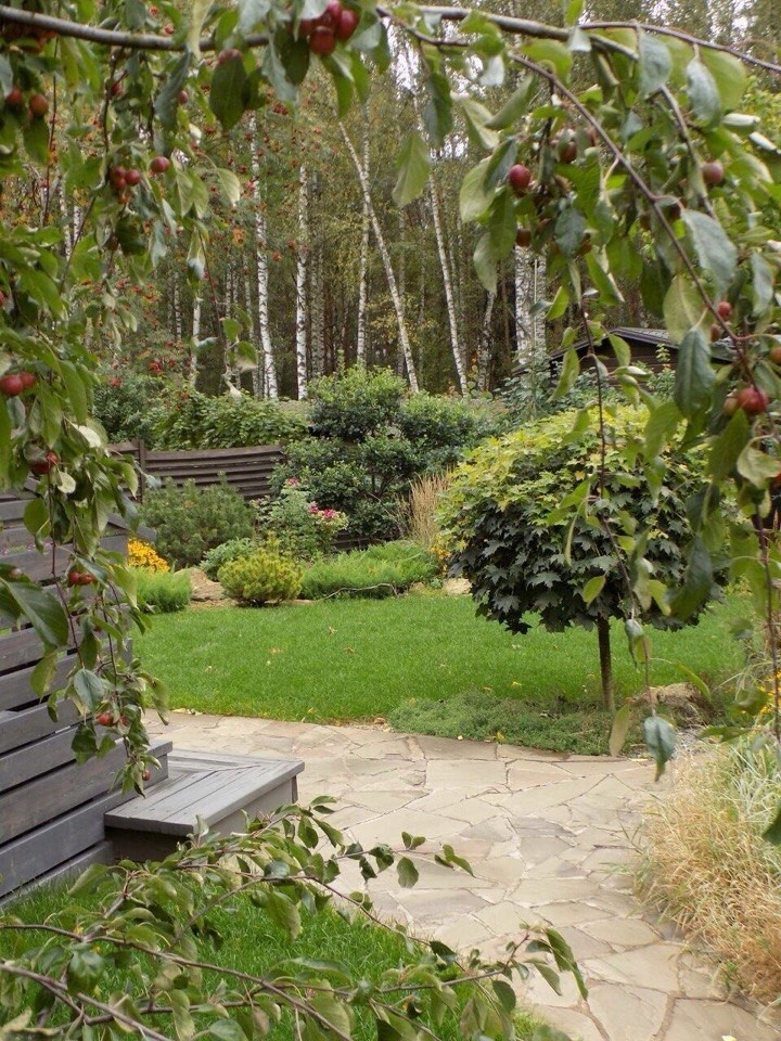 Озеленение, ландшафтный дизайн