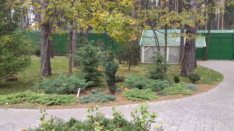 Теневой сад в Молоденово