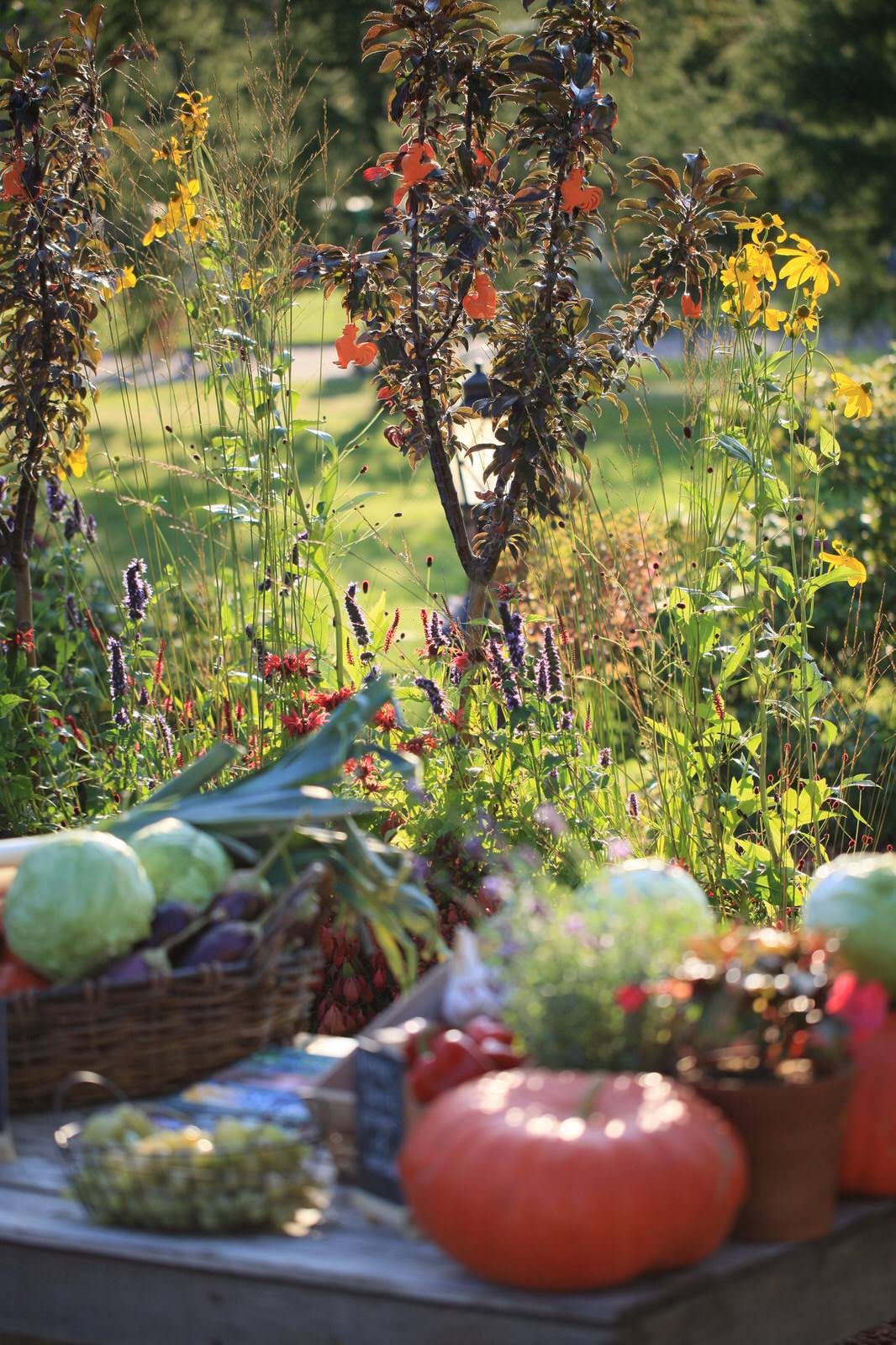 Обложка проекта: Notre Dame potager et marche