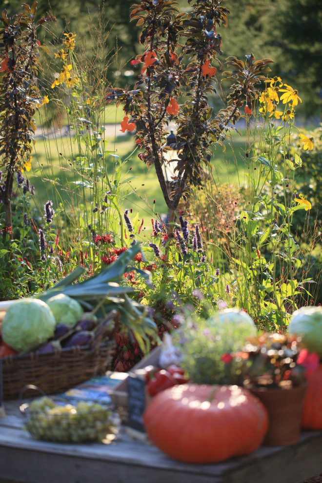 Обложка проекта: Notre Dame potager et marche