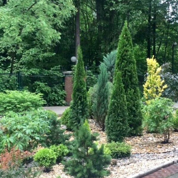 Воспоминая итальянские каникулы