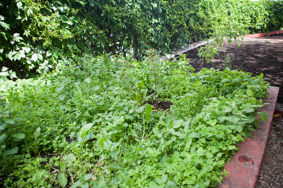 Озеленение летней веранды Dewar's Powerhouse