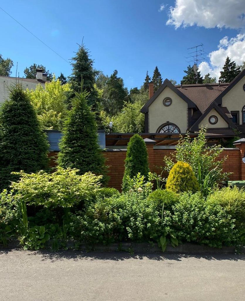 В гостях: Сад на 14 сотках, где живут круглый год