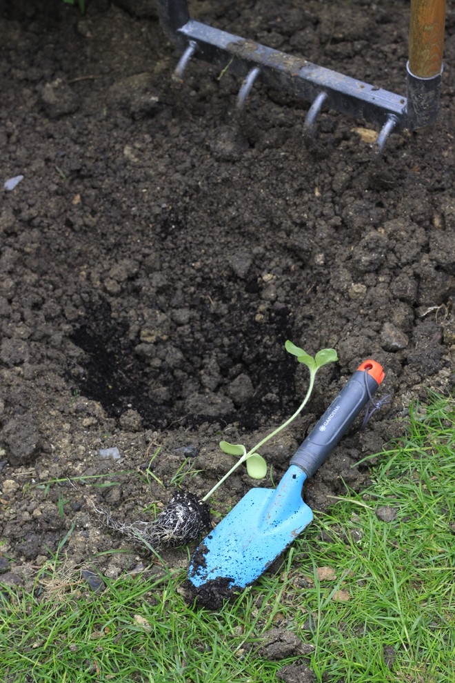 Цветущий сад: Календарь на май для дачников и садоводов