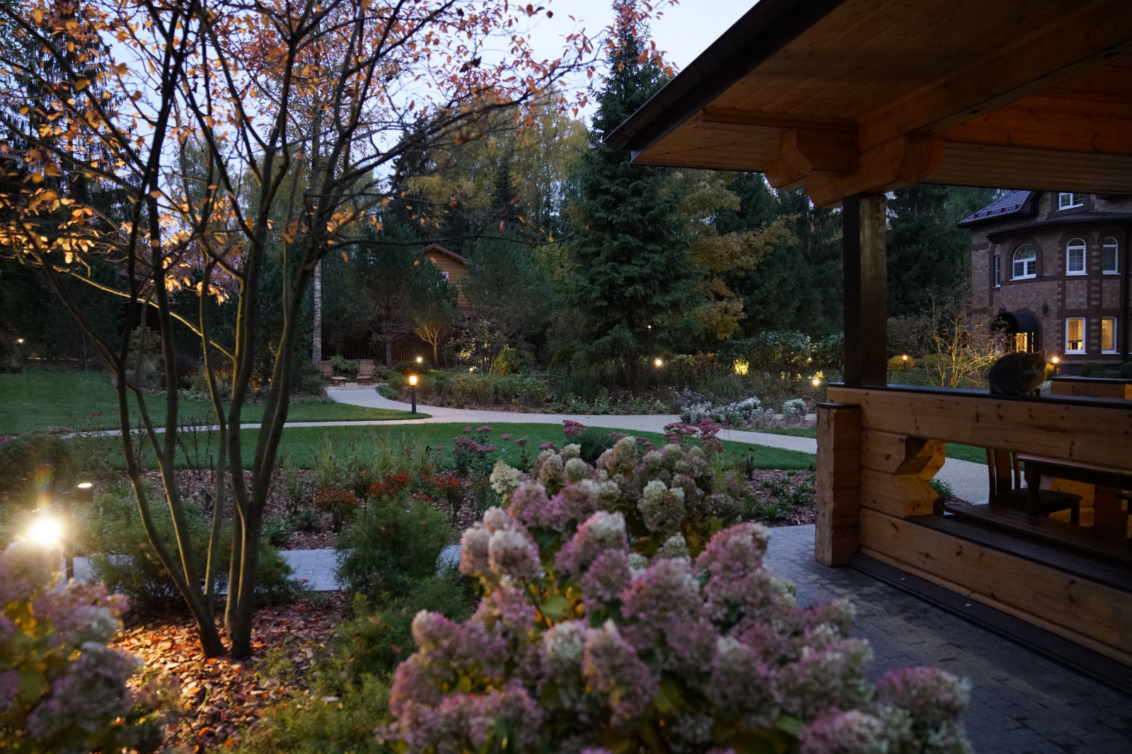 Круговорот  цвета. Дубровка 2021