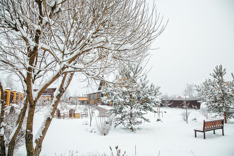 Зимний сад. Ощущение праздника!