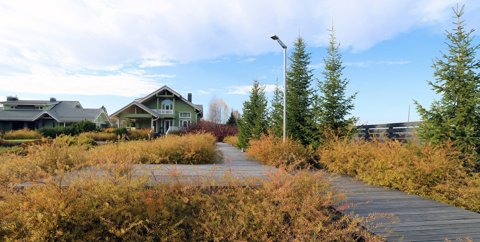 Полынный берег. Новые снимки