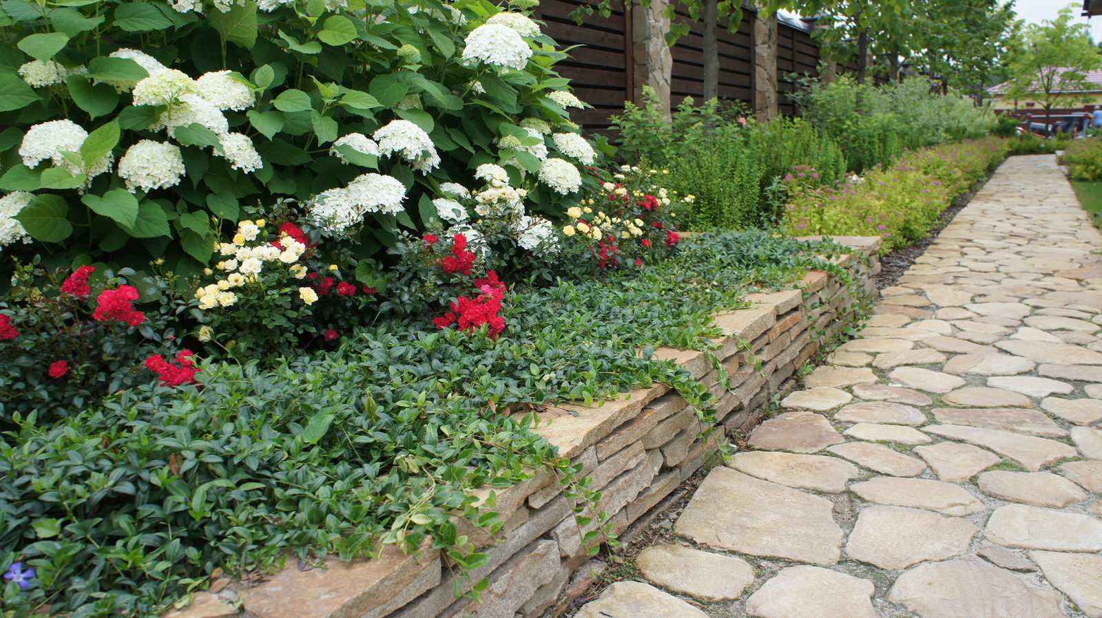 Обложка альбома: сад в Сибири