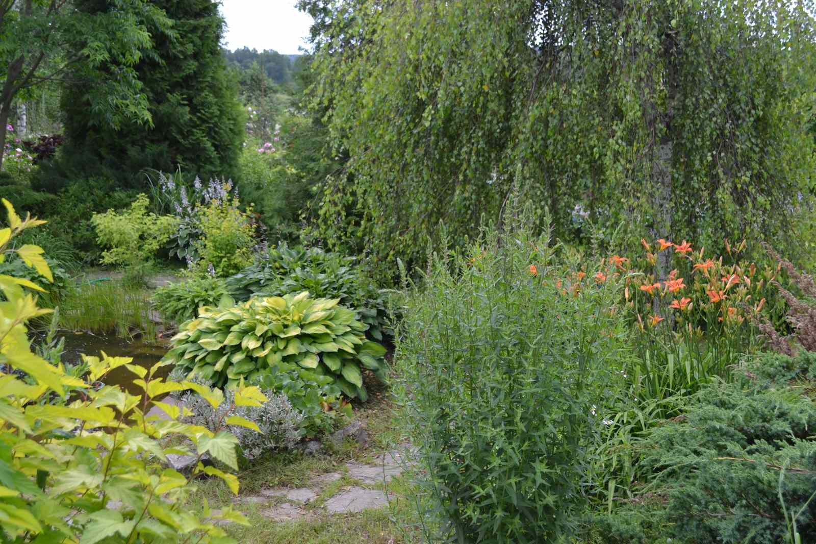 Сад  «Моя цветущая планета».