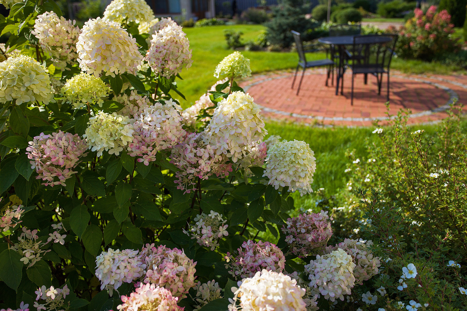 Вартемягибеседка, забор, положить плитку, брусчатка, паркинг, деревья, сделать к