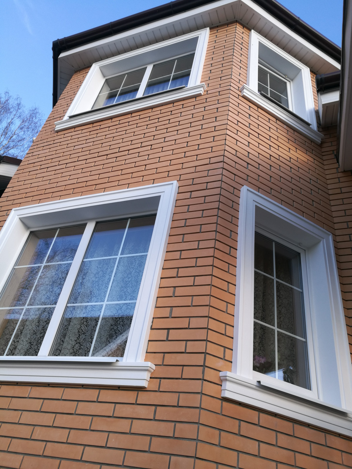 Обложка проекта: ДНТ Лесные дали