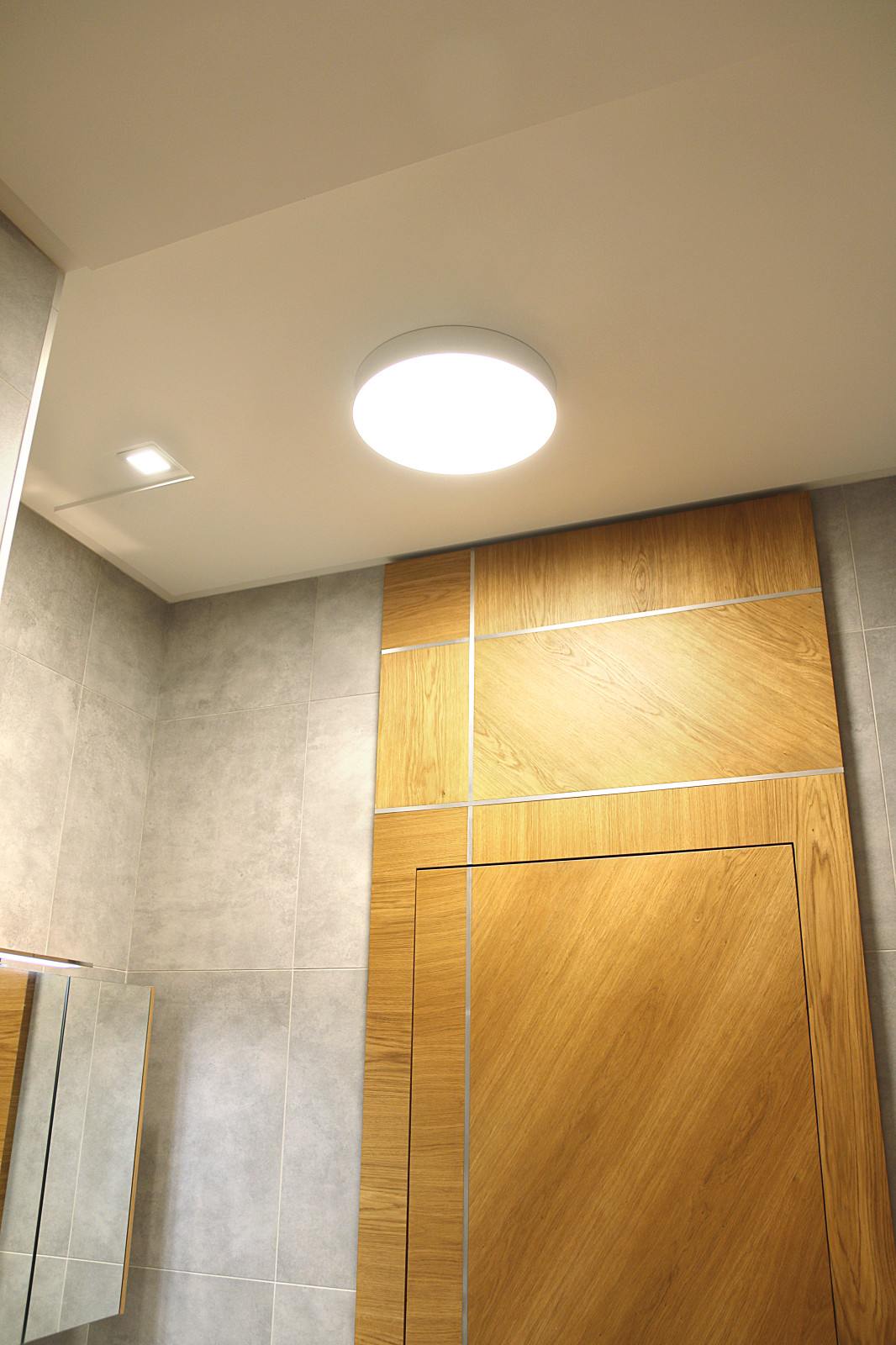 Главная ванная с панно в душевой