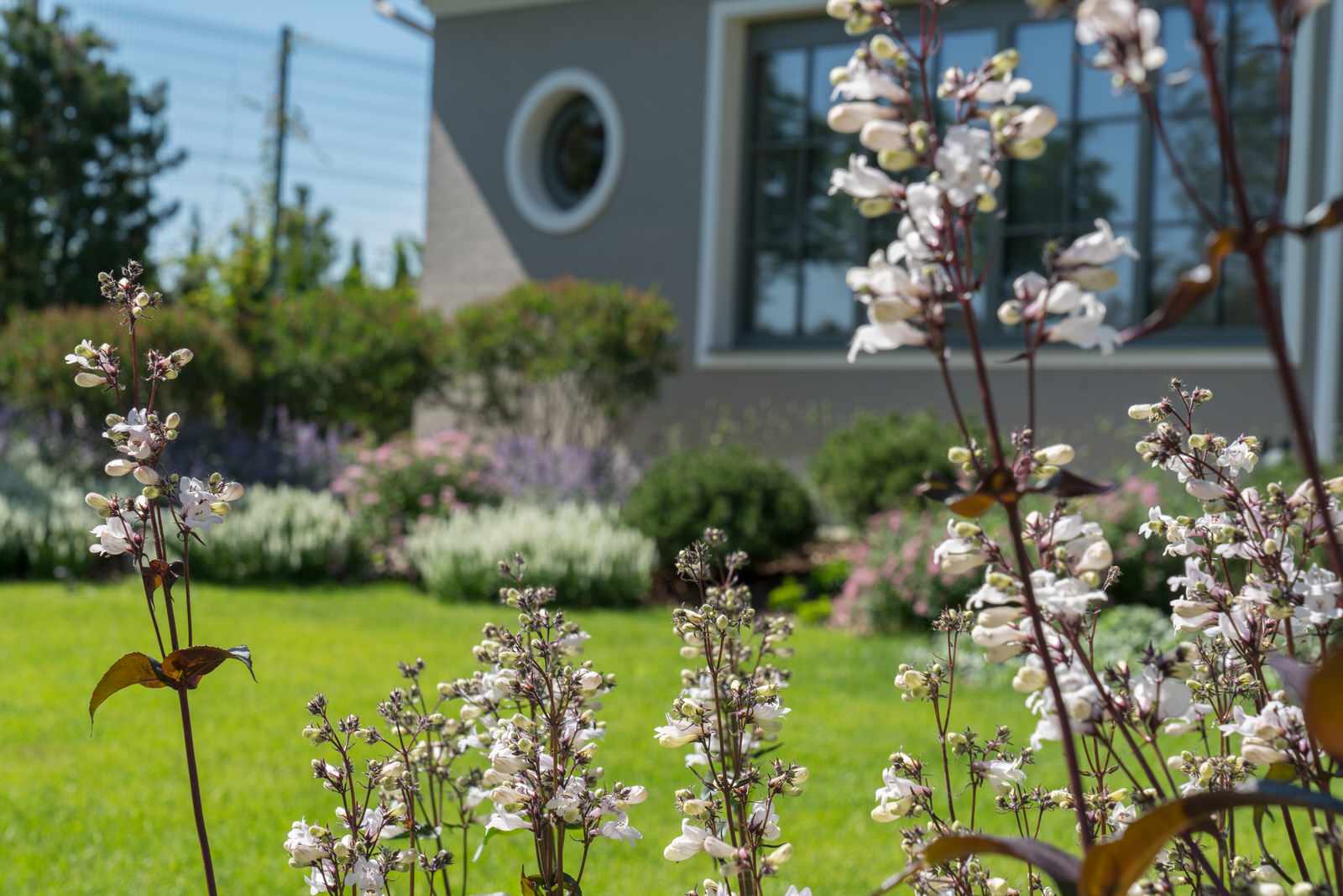 Игра контрастов. Миллениум Парк 2018 г.