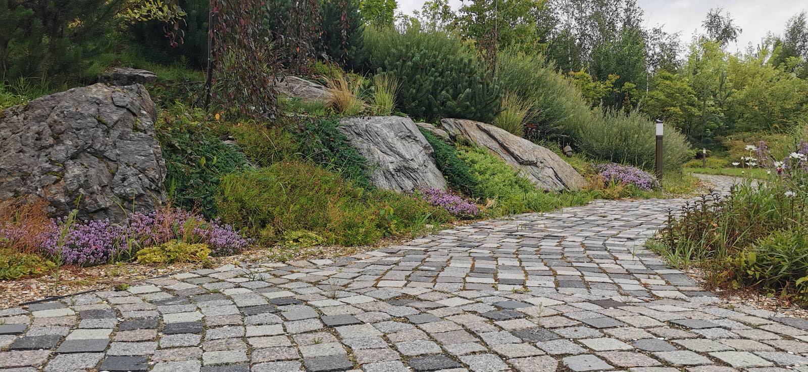 Лесное озеро