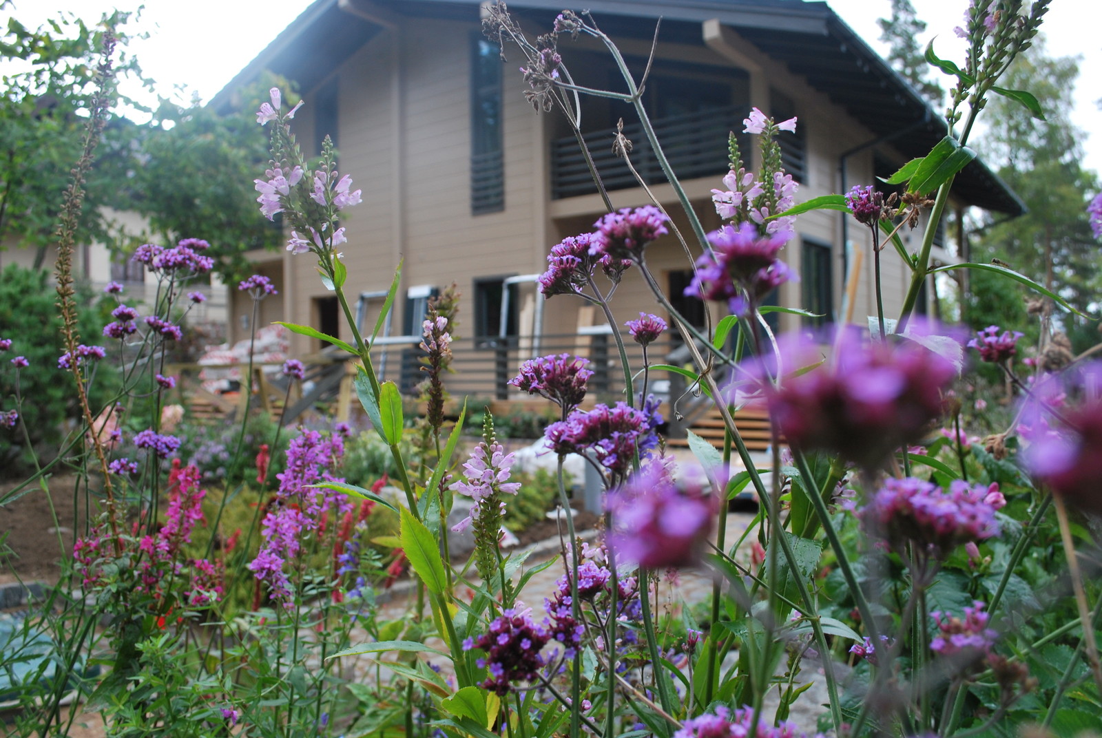 Сад натуралистического стиля