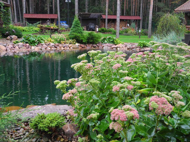 Водоём на участке