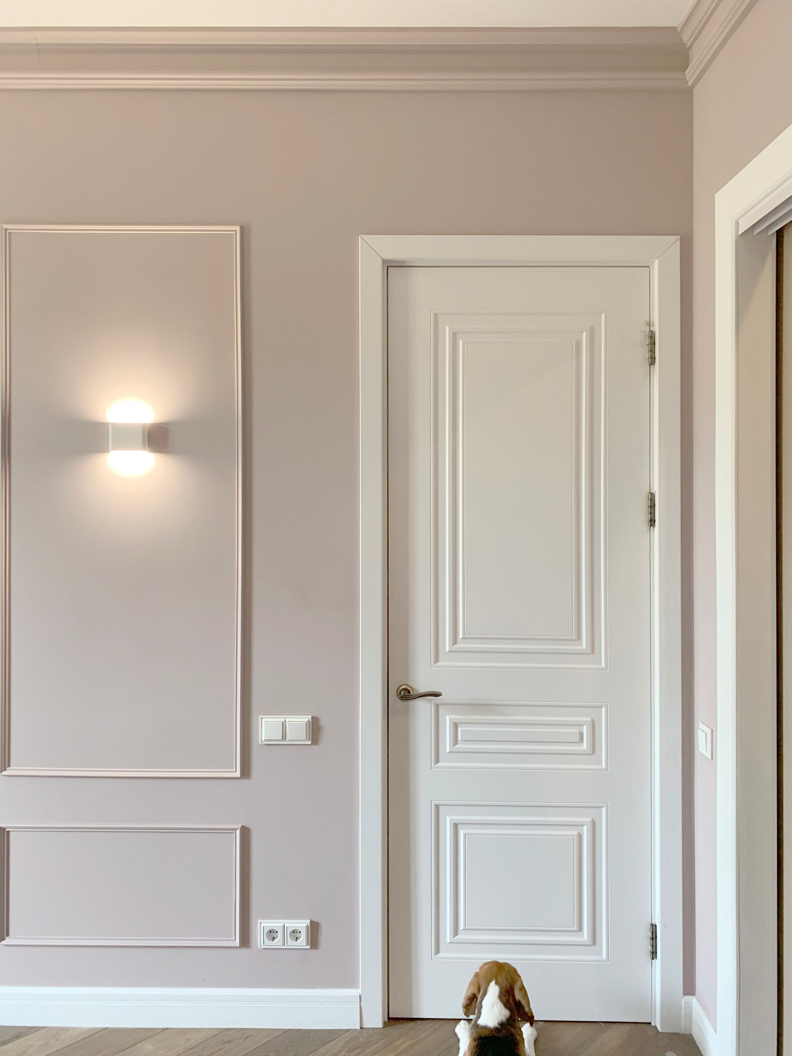 Сталинка на Кутузовском