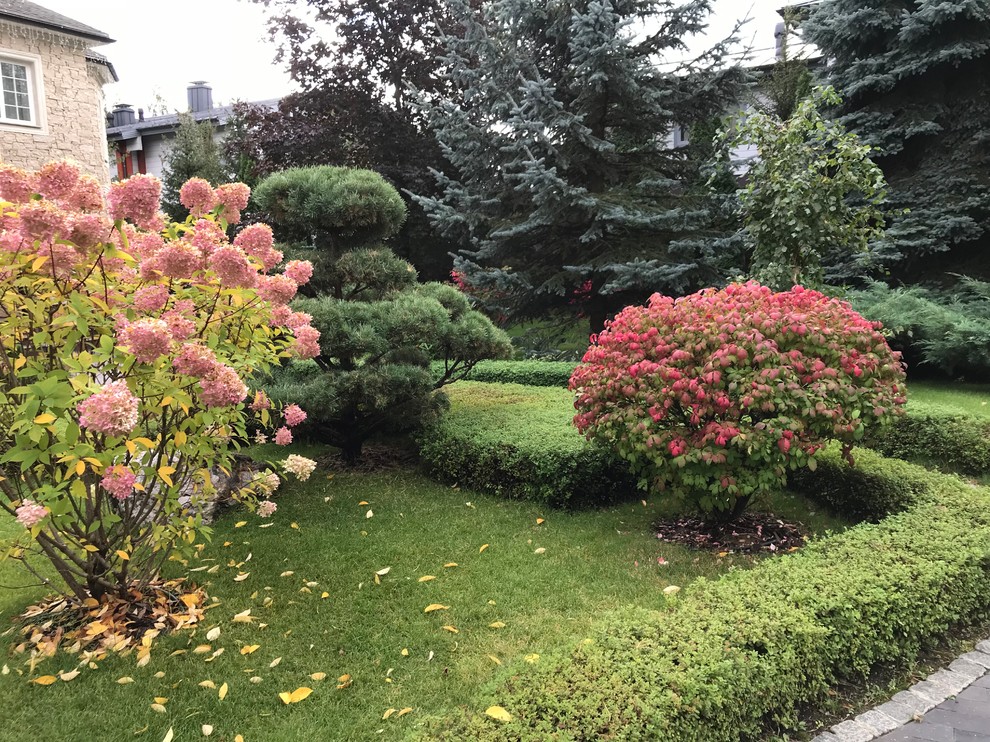 Зелёный лес