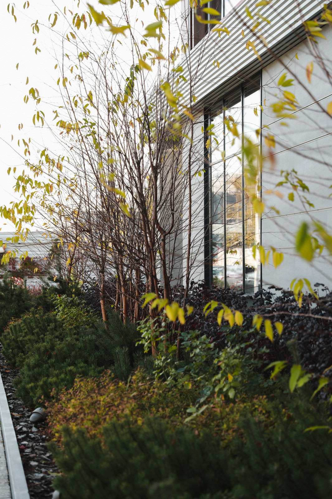 Оформление территории у офисного здания