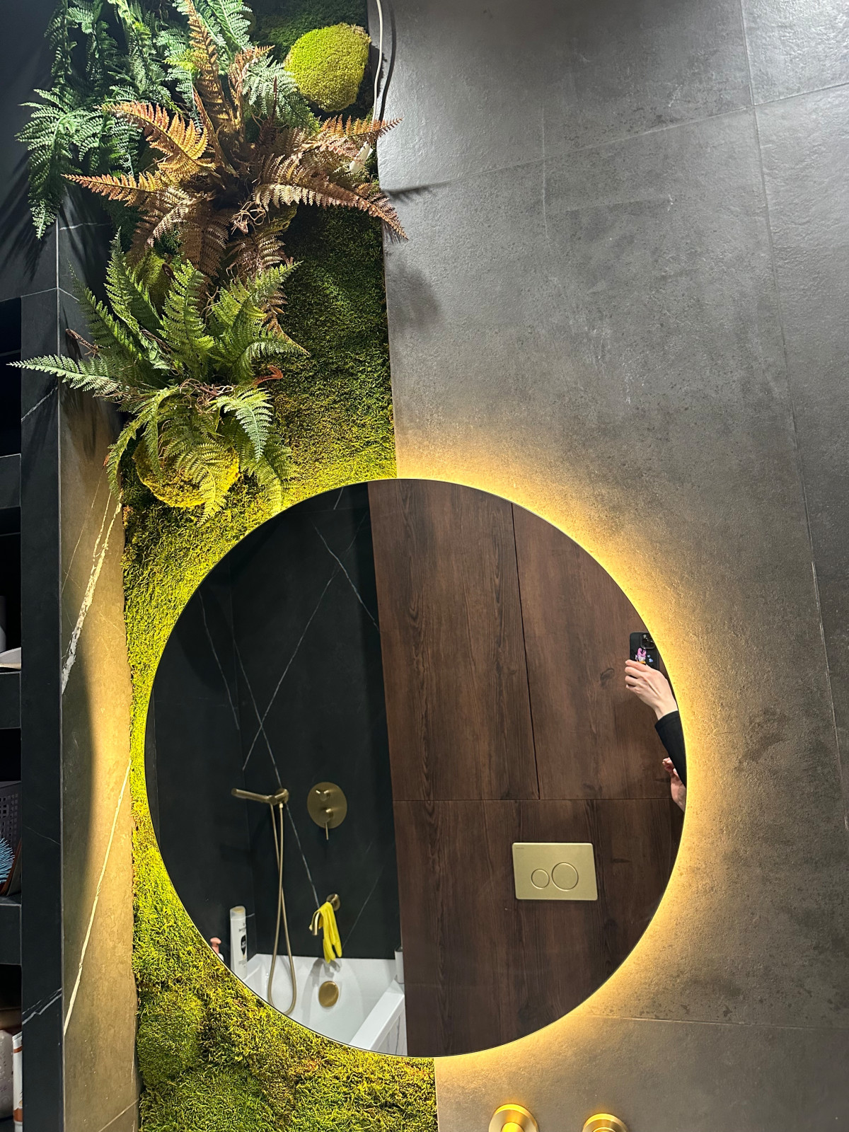 54086384-385C-40F7-9A7F-89BED3D6F492