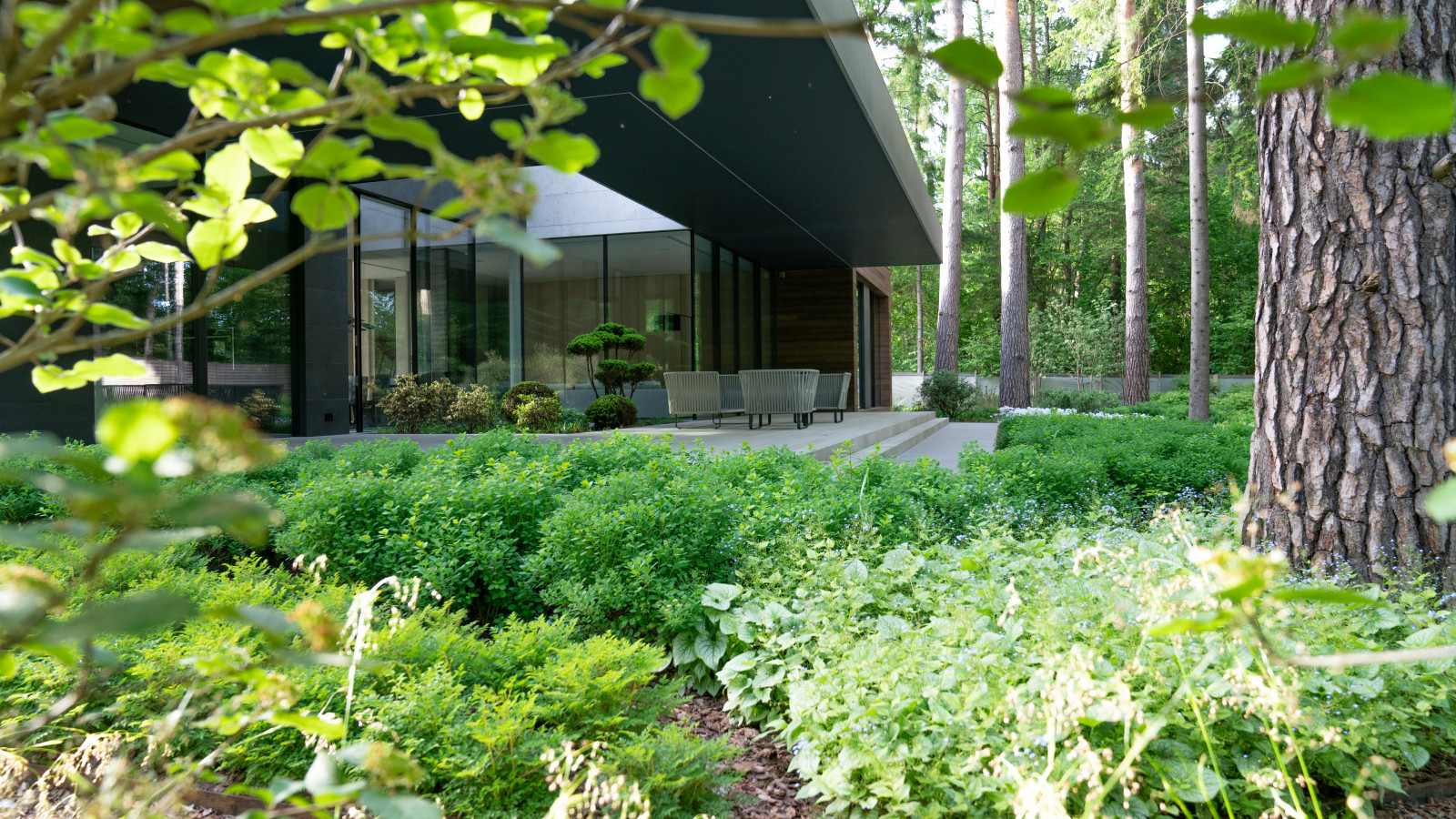 В гармонии с лесом. Модернистский сад. КП Новоуспенский 2020 г