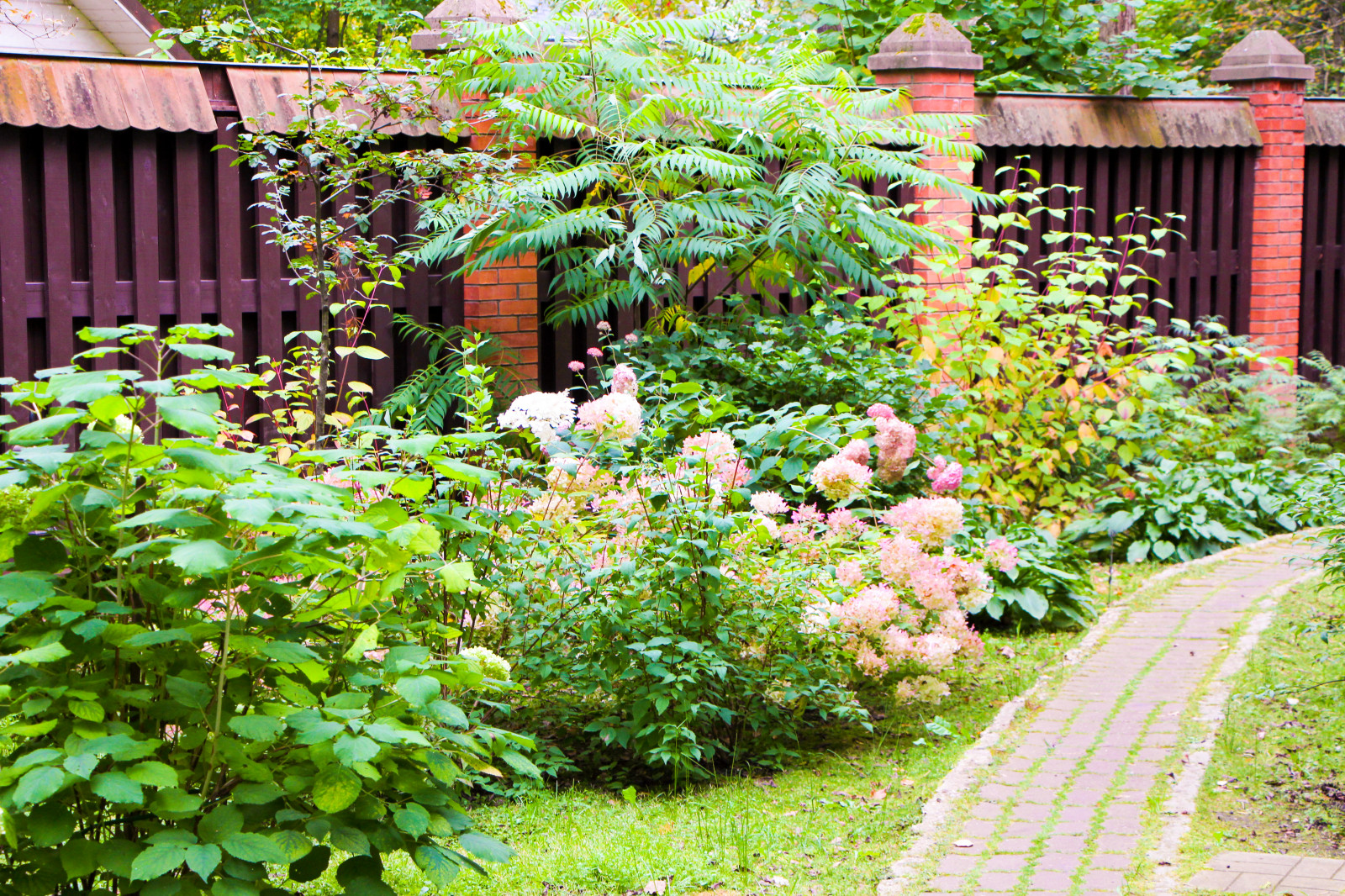 Баковка, 2018 г.